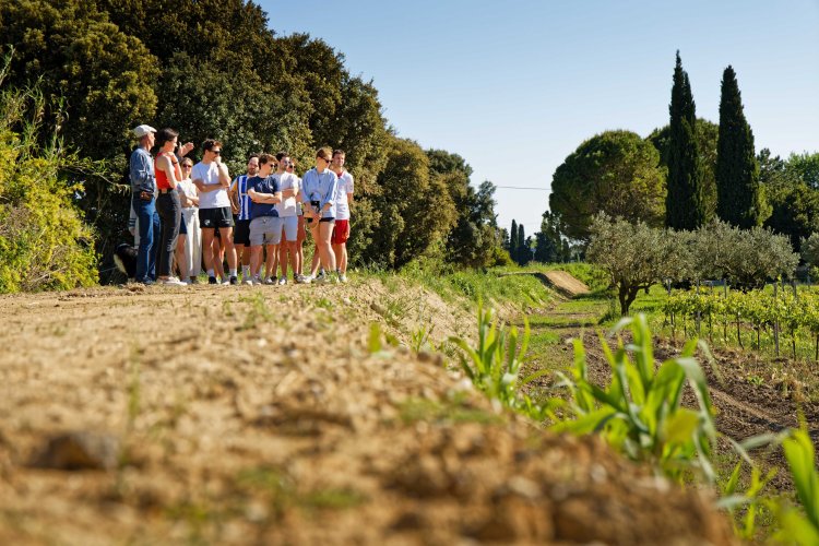 visite-guide