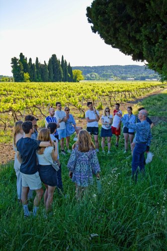 visite-vignes